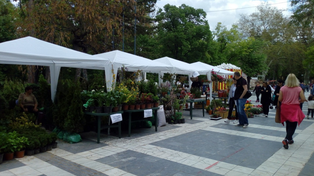 Sajam cveća, ukrasnog šiblja i sadnog materijala u Sokobanji